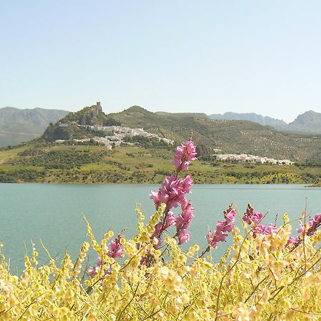 Casa Rural-Apartamento El Lebrillero Zahara De La Sierra Esterno foto