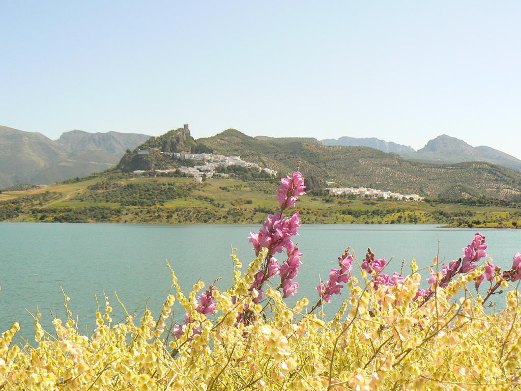 Casa Rural-Apartamento El Lebrillero Zahara De La Sierra Esterno foto